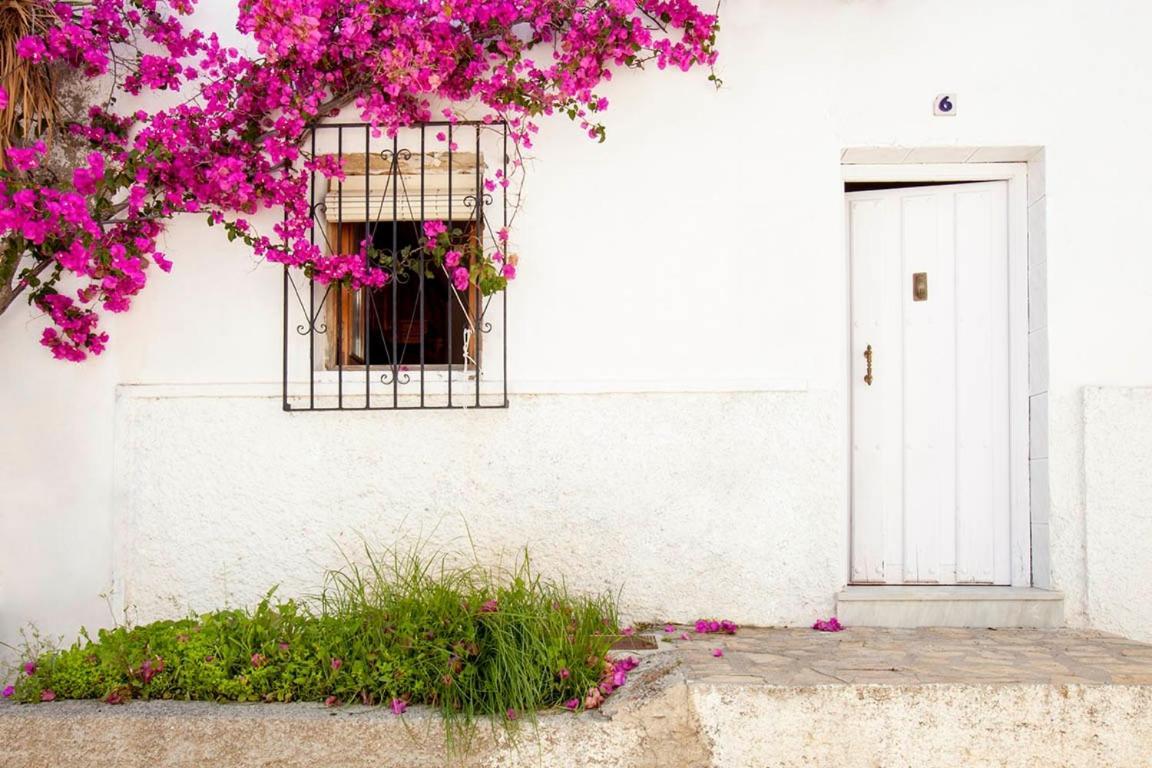 살로브레나 La Casa De Alicia 빌라 외부 사진
